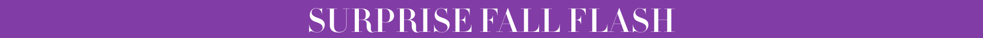 Surprise fall flash sale and free shipping