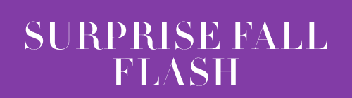 Surprise fall flash sale and free shipping