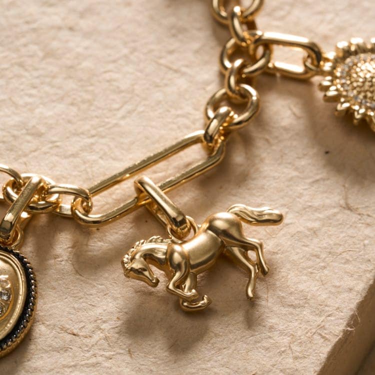 Charm Bracelets