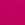 PINK BLOSSOM