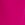 MAGENTA ROSE