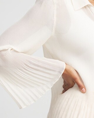 Sheer Pleated Blouse click to view larger image.