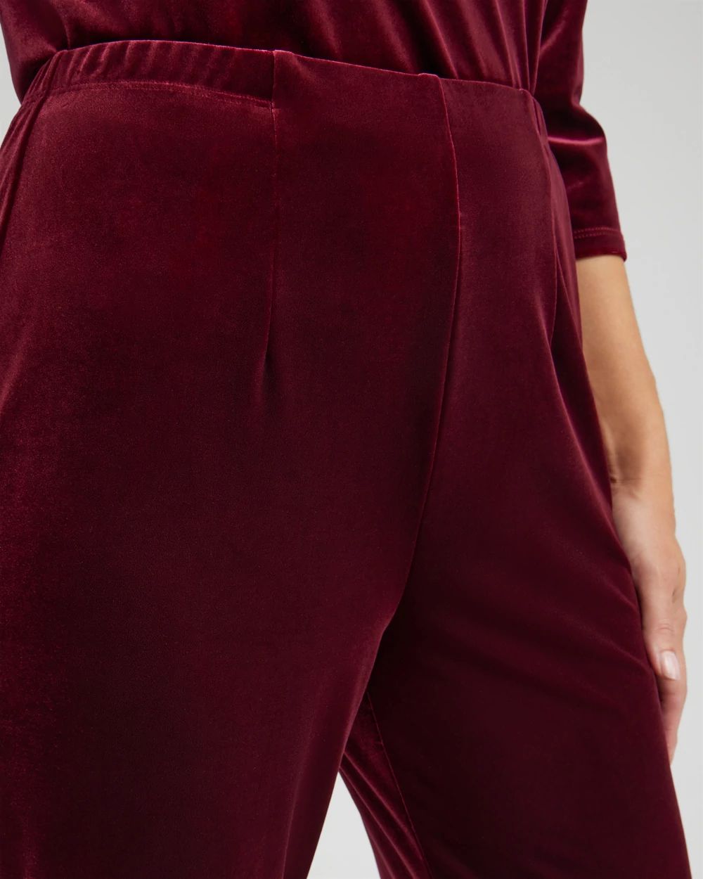 Petite Travelers Collection Velvet No Tummy Pants
