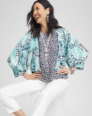 Pintuck Raglan Sleeve Blouse click to view larger image.