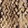 DRIED MUSHROOM