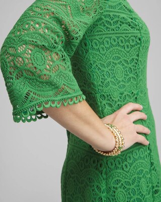 Lace Fit & Flare Dress click to view larger image.