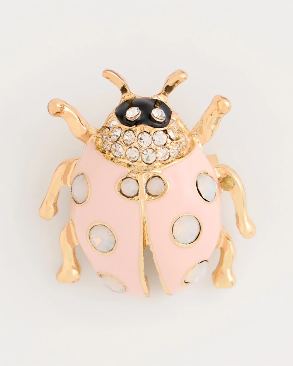 Lady Bug Brooch