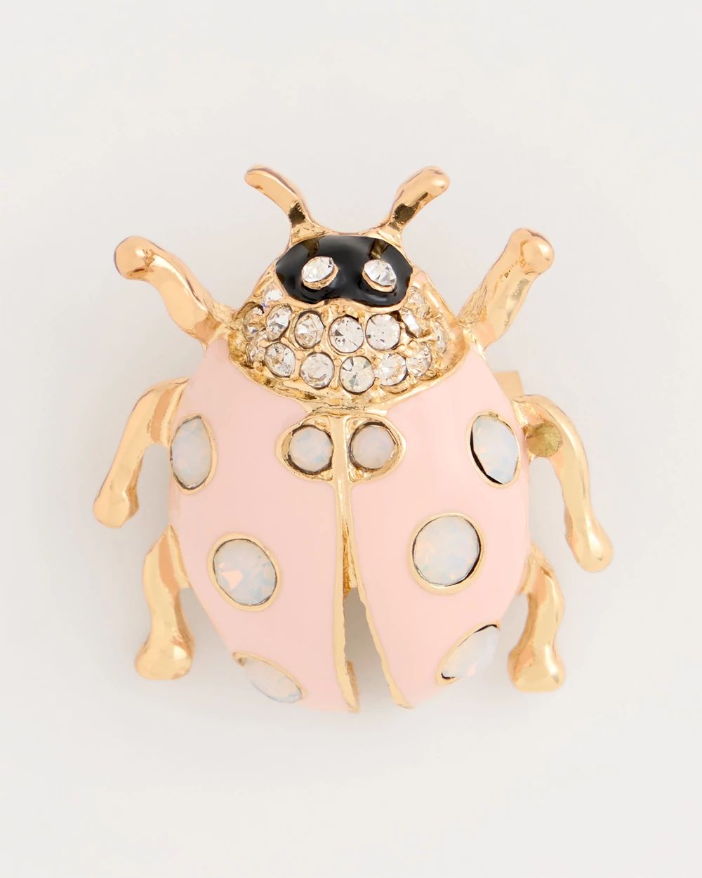 Lady Bug Brooch