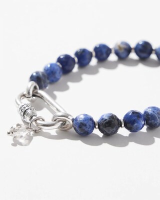 Blue Carabiner Bracelet