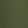 SERENE SPRUCE