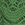 VERDANT GREEN
