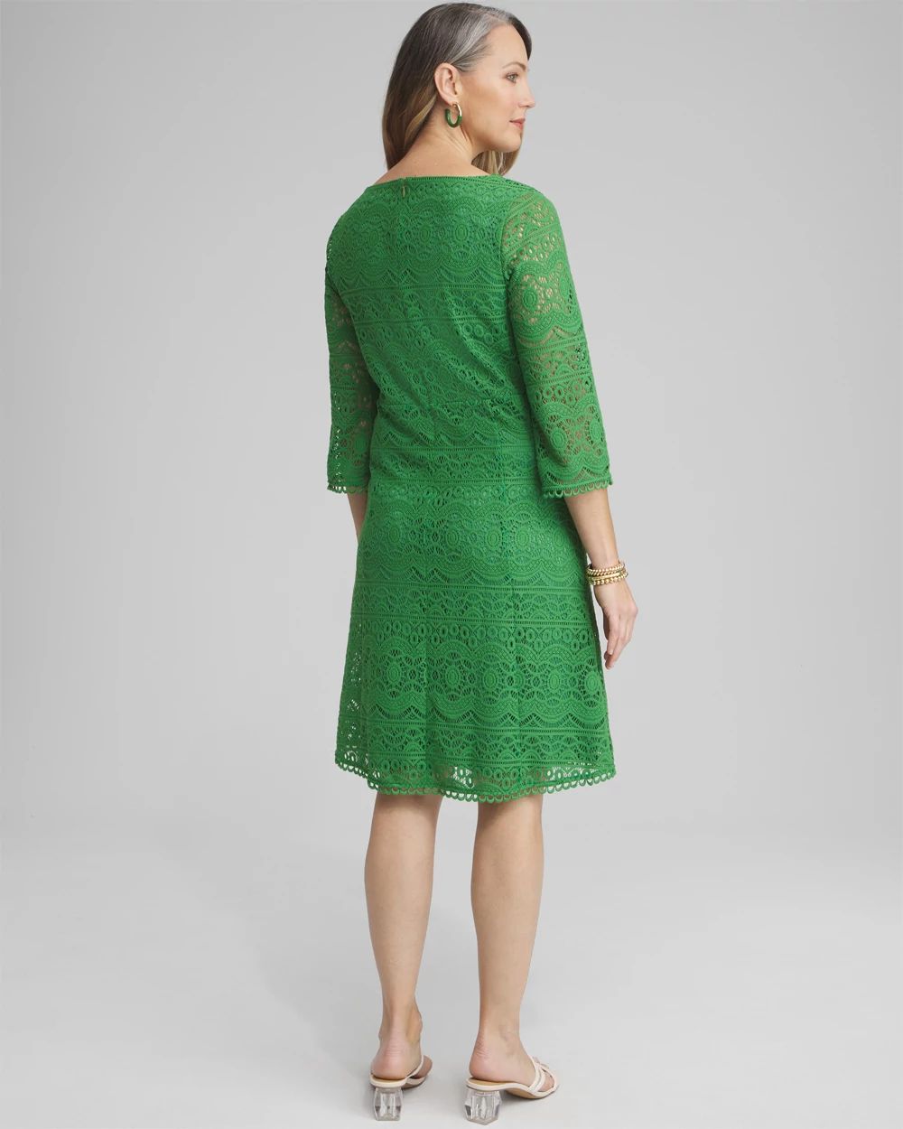 Lace Fit & Flare Dress