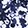 PASSPORT BLUE
