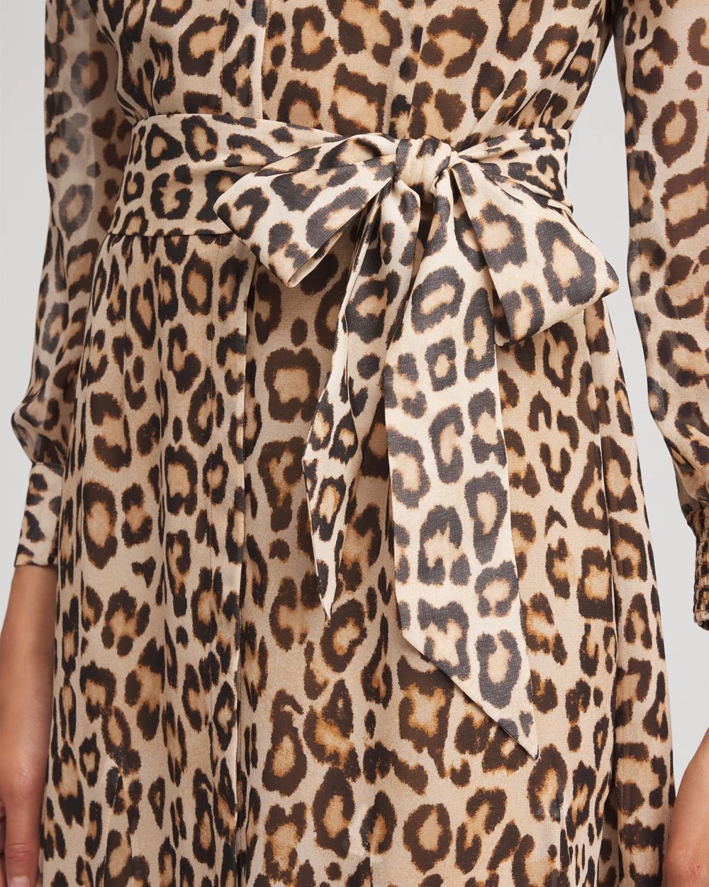 Cheetah-Print Godet Dress
