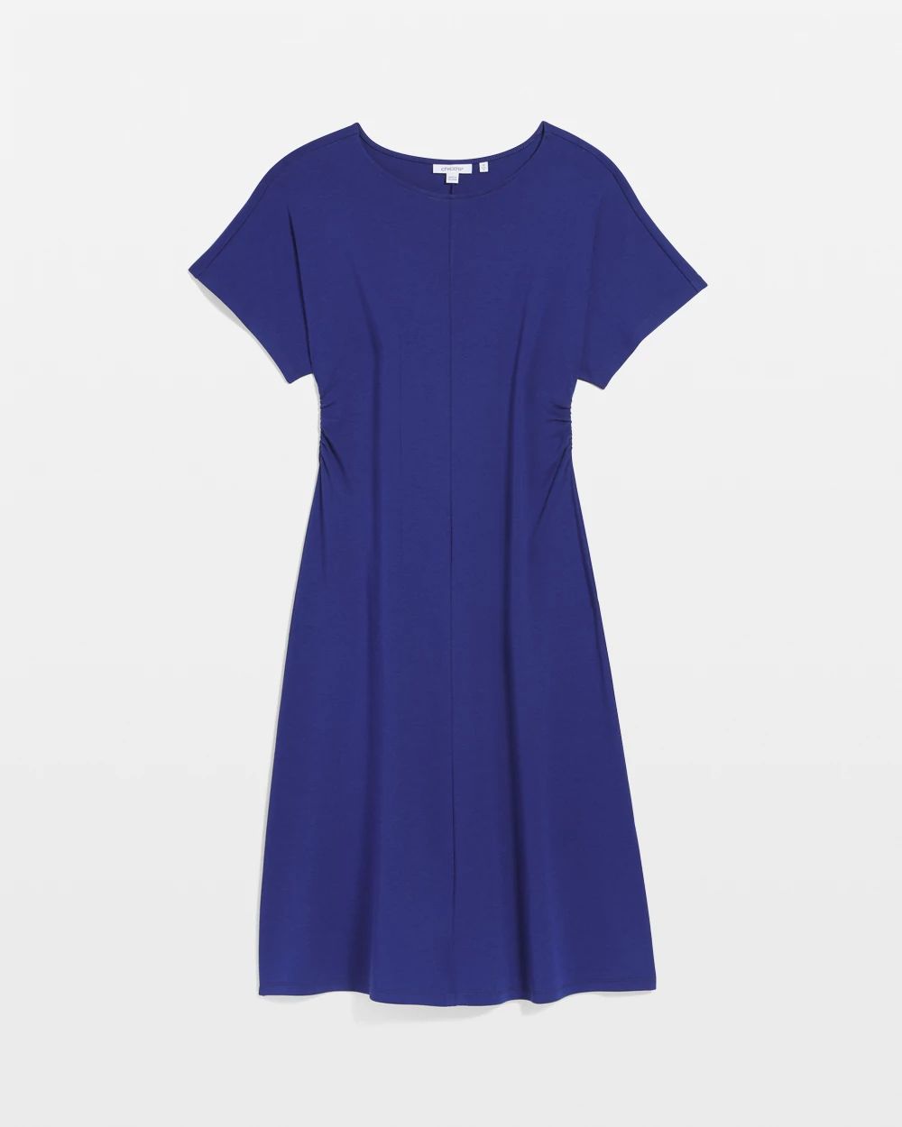 Fit and Flare Cinched Waist Dress