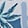 PASSPORT BLUE