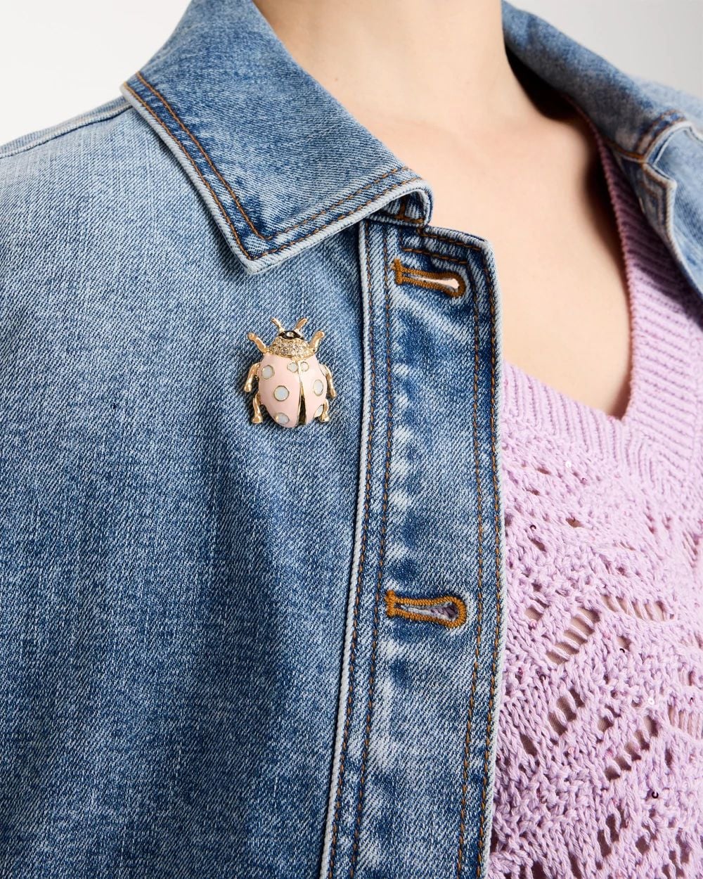 Lady Bug Brooch