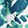 PASSPORT BLUE