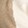 ENGLISH CREAM