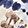 PASSPORT BLUE