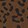 ANIMAL PRINT