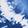 PASSPORT BLUE
