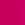 PINK BLOSSOM