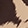 COCOA BEAN