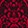 CARMINE RED