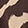 COCOA BEAN