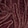 DEEP MERLOT